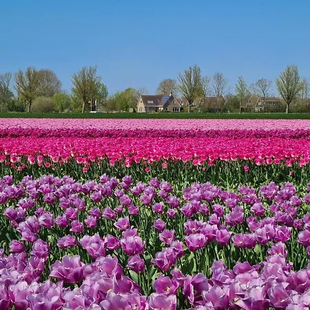 营地 536 Op Recreatiepark De Wielen *